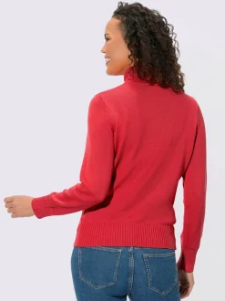 Pull col roulé à emmanchures diminuées finitions côtelées