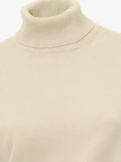 Pull à col roulé en tricot doux manches longues