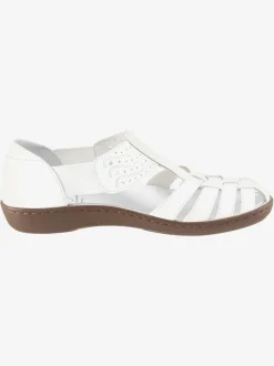 Trotteurs largeur g*